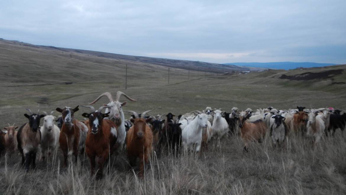 nu poate fi o neplăcere bătaia vântului, când te rătăcești la astfel de ÎNTÂLNIRI