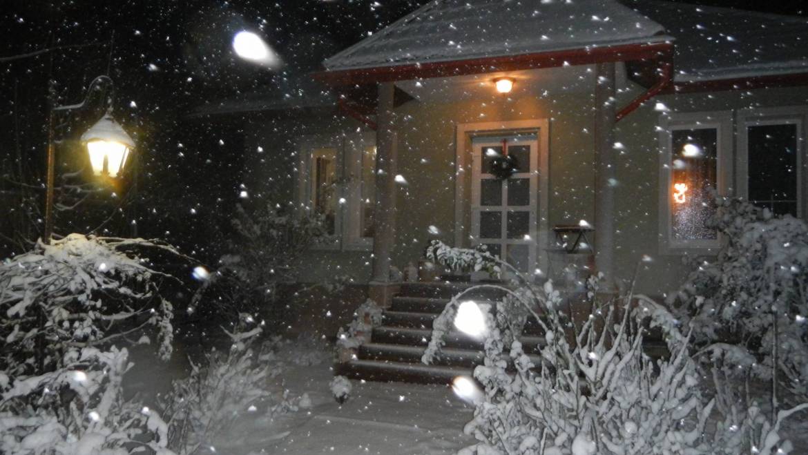 în această dimineață FERICIREA s-a numit… NINGE