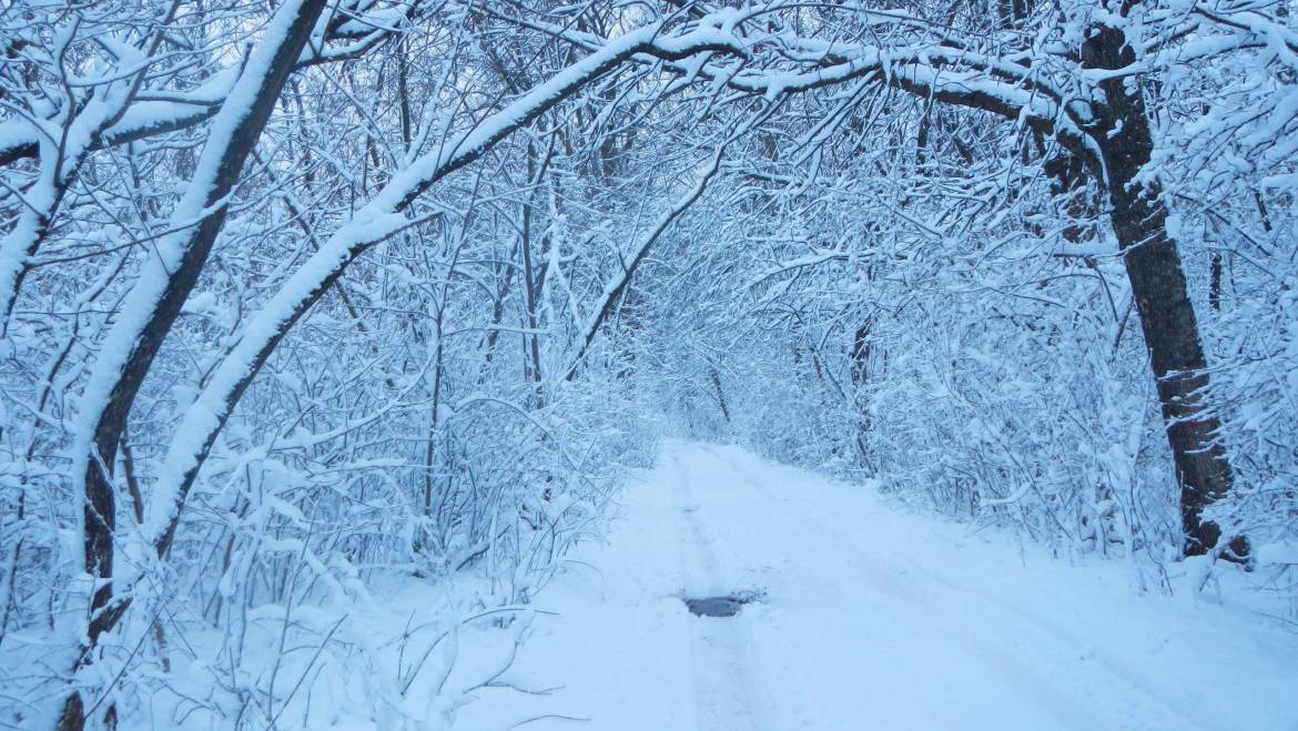 IARNA… pentru a sufletului muzică trăire, un VEȘMÂNT